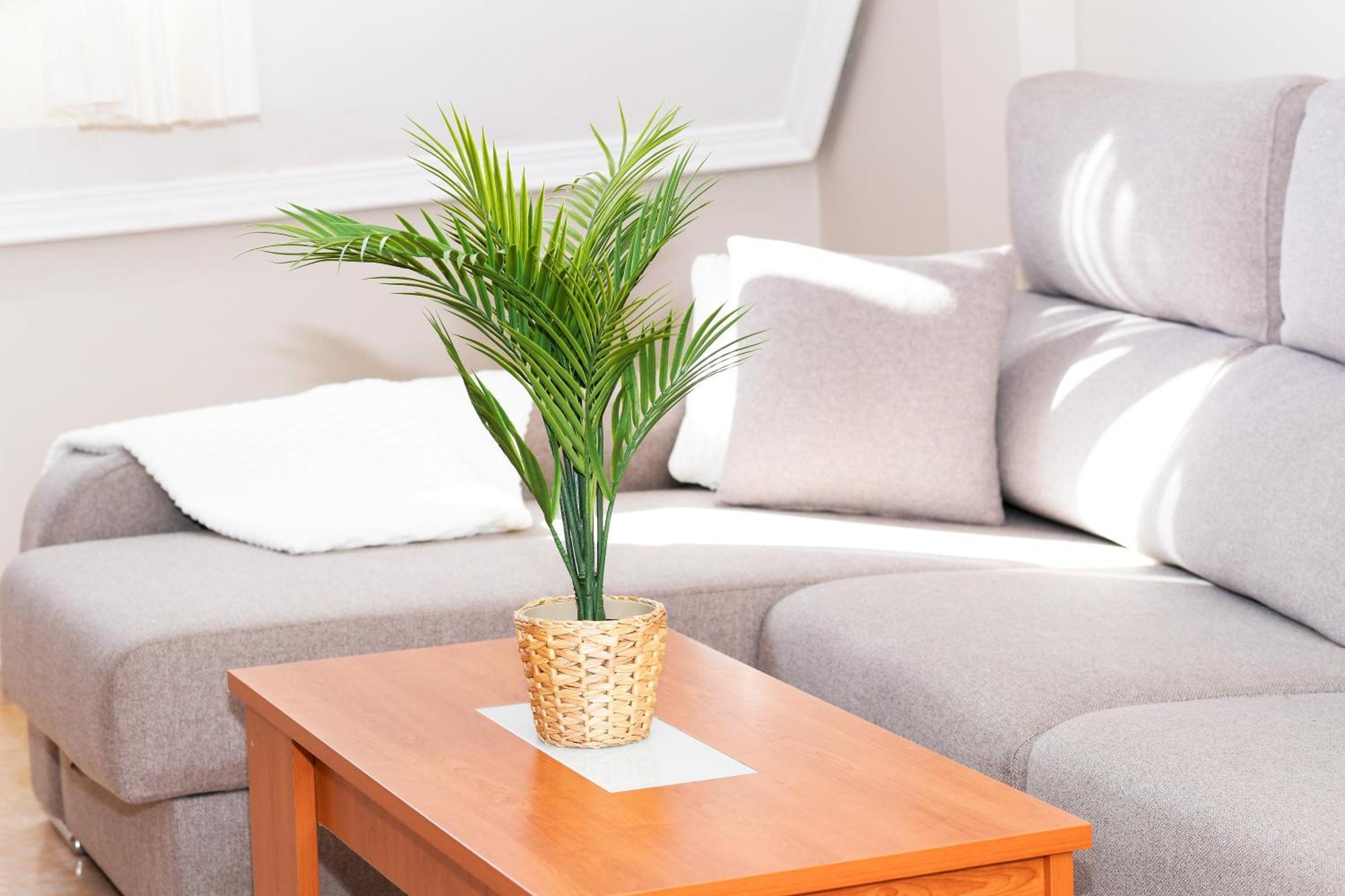 Velayli - Apartamento En El Centro De ฟินิสแตร์เร ภายนอก รูปภาพ